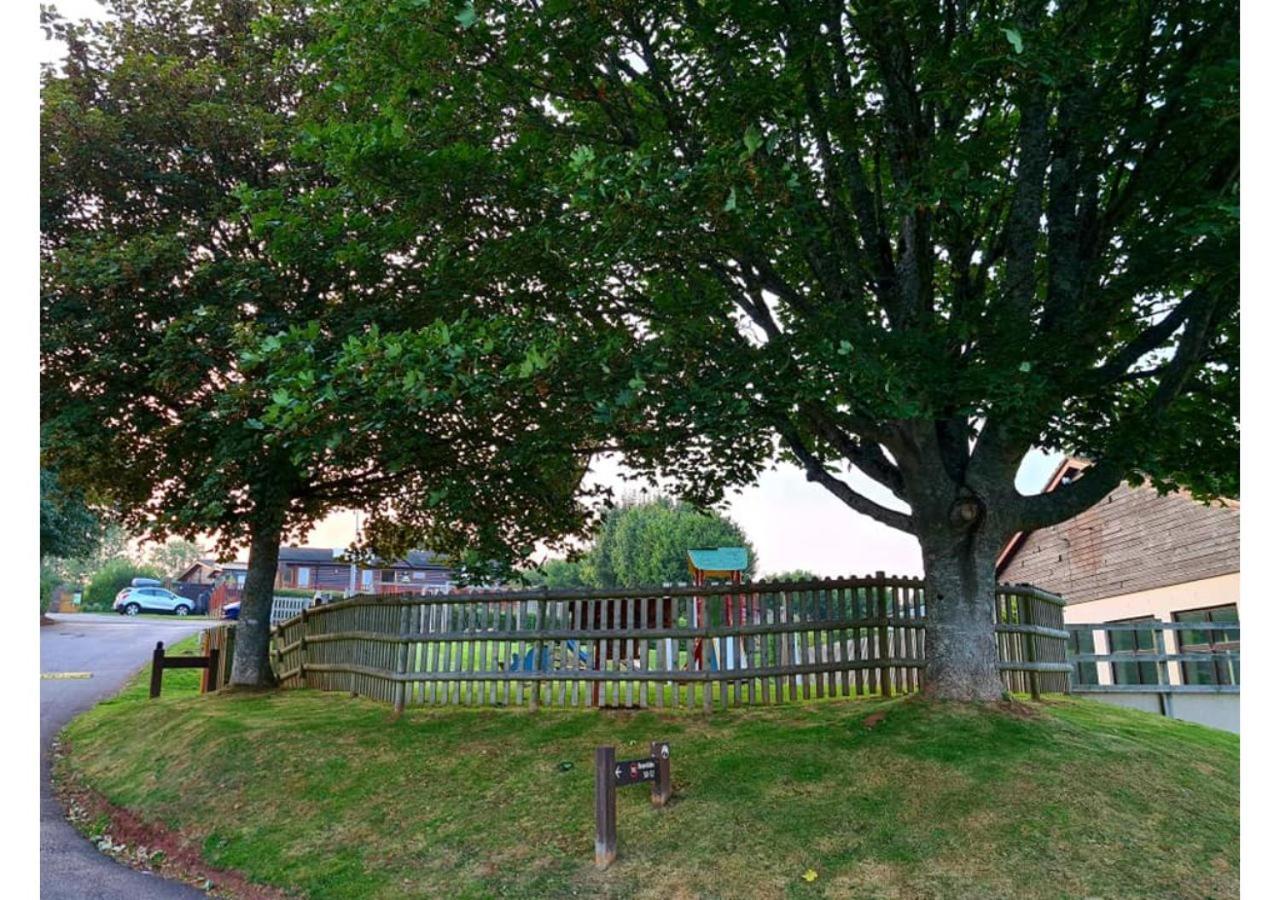 Butterfly Lodge Paignton Exterior photo